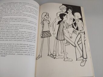 Helena Hodačová - Radek, brouk a Andulka Šafářová kniha děti - 4