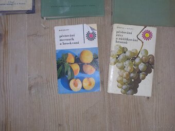 Včelařství zahrada hrozny - 4