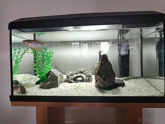 Akvárium set 54 l Cat-Gato set + akvarijní stolek - 4