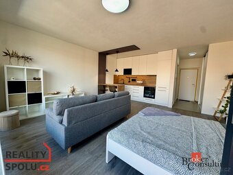 Pronájem, byty/1+kk, 43 m2, Kartónová 2843/2, 32600 Plzeň, P - 4