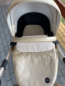 Mima xari - 4