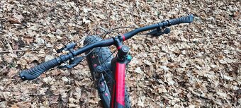 fatbike haibike - 4