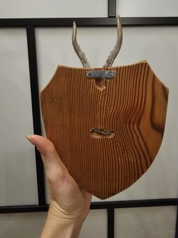 Srnčí trofej na podstavci - 4