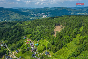 Prodej lesa, 6696 m², Tanvald - 4