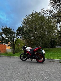 UM Xtreet 125 - 4