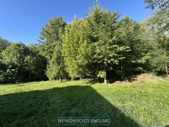 Prodej vily 5+1 s garáží a zahradou, k.ú. Jaroslavice u Znoj - 4