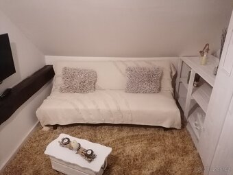 Pronájem bytu 1+1, 50 m² - 4