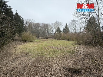 Prodej vodní plochy, 5965 m², Rychnov nad Kněžnou - 4