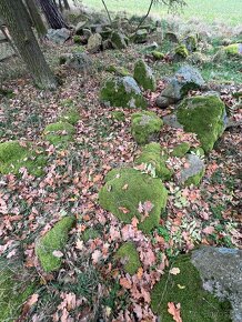 přírodní kameny, částečně porostlé mechem - 4