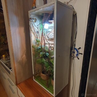 Terárium pro chameleona 100× 50 ×35 - 4