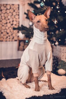 Peruansky naháč s PP - 4