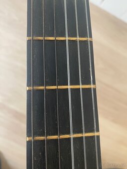 Klasická kytara ECHO C36 + kryt - 4