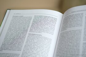 Současná klinická psychologie - Thomas Plante - 4