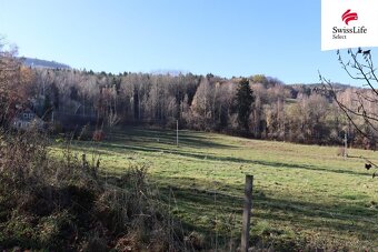 Prodej louky 2808 m2, Brloh - 4