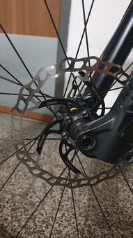 Canyon neuron AL 6.0 29 XL - 4