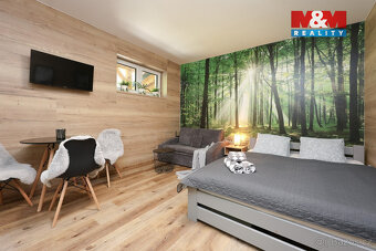 Prodej apartmánu 1+kk, Vrbno pod Pradědem, ul. Žižkova - 4