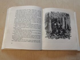 Jaroslava Reitmannová: ŠIBAL KRAKONOŠ (1980) - 4