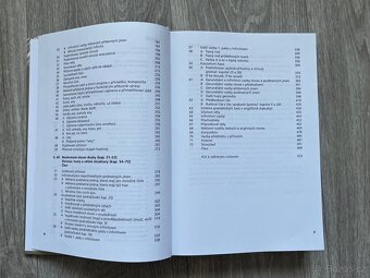 Active English Grammar - Sergej Tryml, Top stav - 4