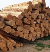 Palivové dřevo štípané ,ZDARMA doprava a složení - 4