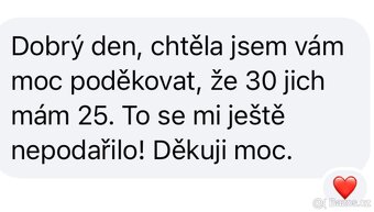 Násadová vejce na barevný dvorkový mix - 4