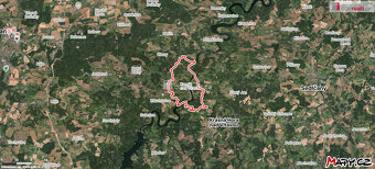 Prodám dvojhrobku s místem pro 2 rakve v Kamýku nad Vltavou - 4