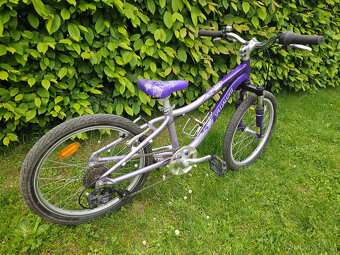 20" dětské dívčí horské hliníkové kolo SPECIALIZED, rám 10 - 4