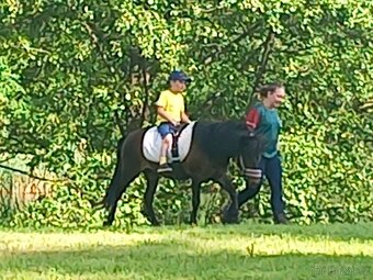 Pony kobylka - 4