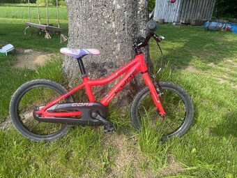 Dětské kolo Core Nipper 16 - 4