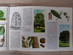 Predám britské albumy s nálepkami - 4