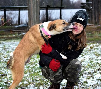 FLAVIA K ADOPCI - 2 ROKY, USMĚVAVÁ, KAMARÁDSKÁ - 4