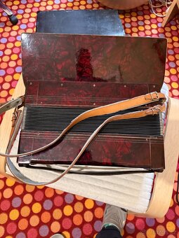 Akordeón BELLONA - 4