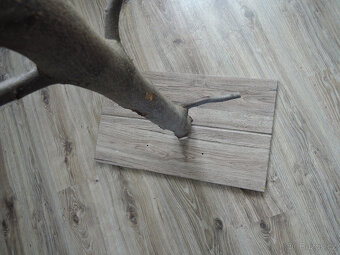 Prodám strom pro papouška - 4