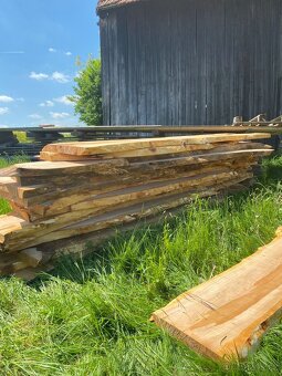 Fošny třešeň - 4