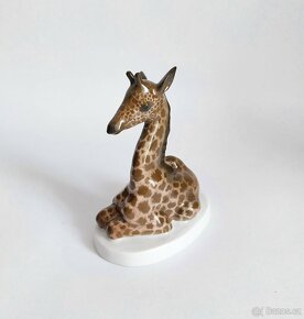 Starožitná porcelánová figurka žirafy - ROSENTHAL - 4