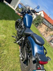 Honda CMX 500 REBEL modrá - 4