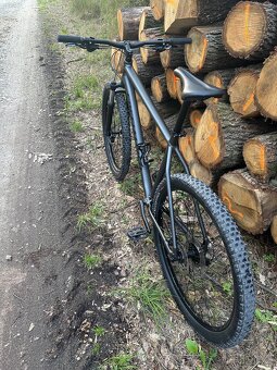 Specialized Rockhopper, XL, 29” - 4