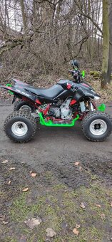 Access Tomahawk 300 SP - 4