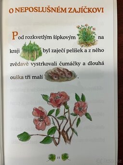 Co dělají zvířátka - Jaro - 4