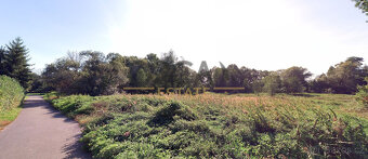 1,6 ha pozemků v k. ú. Prstná - 4