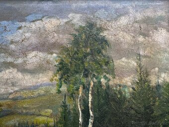 Obraz Krajina s břízami - 4