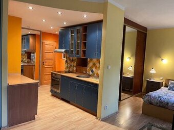 Pronájem bytu 1+kk 50 m² (Jednopodlažní) - 4