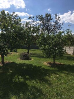 Stavební pozemek v Rajhradé - 4