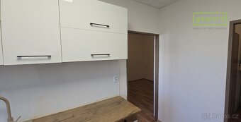 Zděný byt se sklepem a podílem na pozemku - Jírovcova ulice - 4