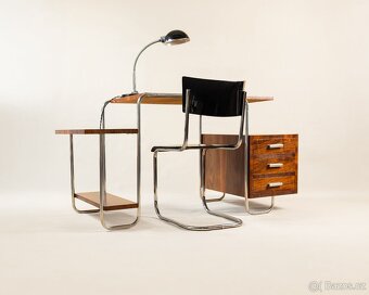 PSACÍ STŮL-FUNKCIONALISMUS - 4