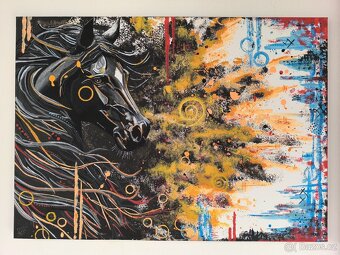 Originální obraz koně - 4