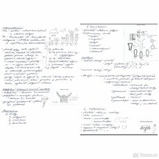 Maturitní otázky - biologie - 4