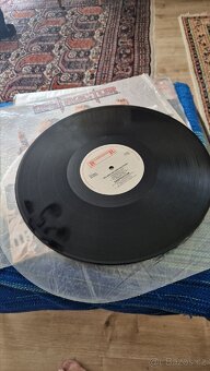 Lp desky Destruction,metal mix - 4