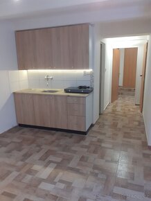 Pronájem nebytového prostoru 1+1 Uh.Hradiště - 4