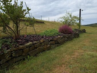 Kámen- haklík nepravidelný - 4