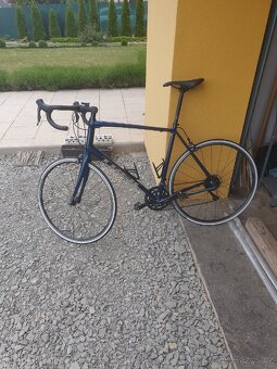 Silniční kolo Trek Domane AL 2 - blue/matte trek black - 4